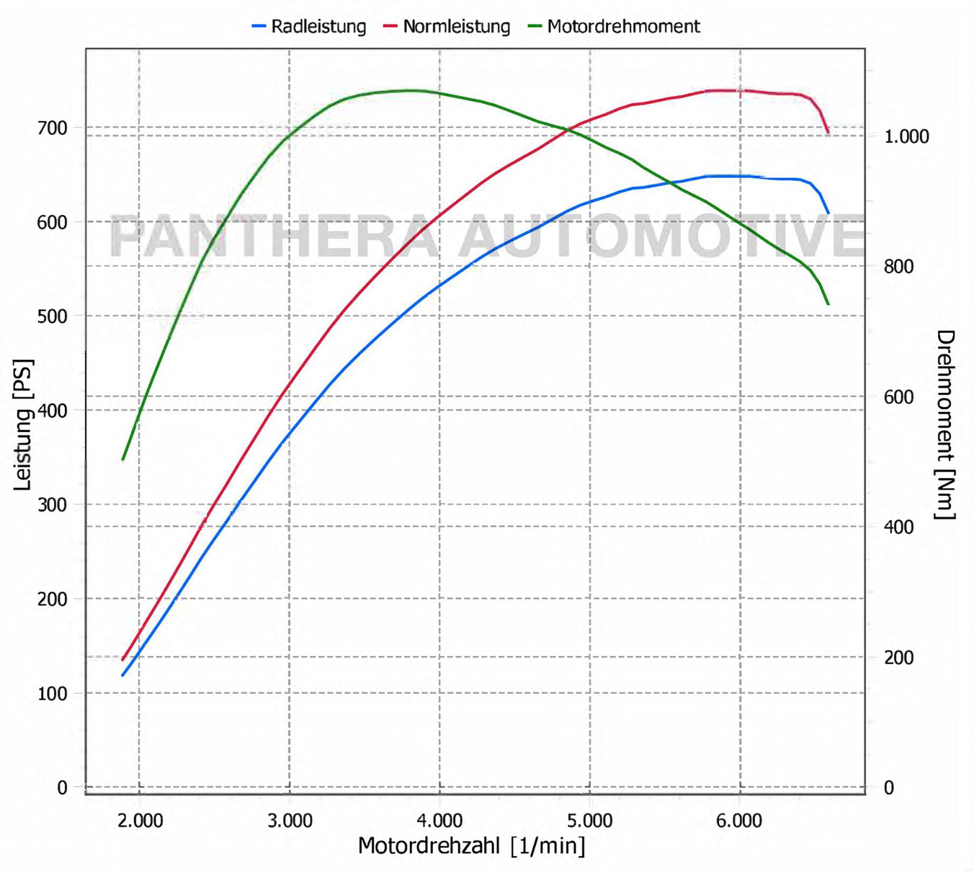 Panthera Chip Box Tigris 
